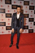 Manish Paul at Big Star Awards red carpet in Andheri, Mumbai on 18th Dec 2013